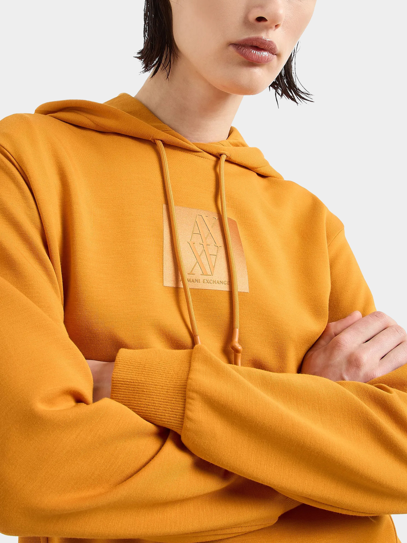 Худи и свитшоты Armani Exchange модель 6DYM78-YJEGZ-1799 Фото