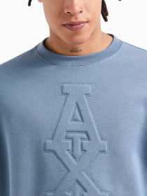 Худи и свитшоты Armani Exchange модель 6DZMLF-ZJ4XZ-15DU Фото