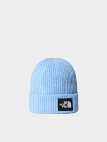 Шапки и кепки The North Face модель NF0A3FJW1I51 Фото