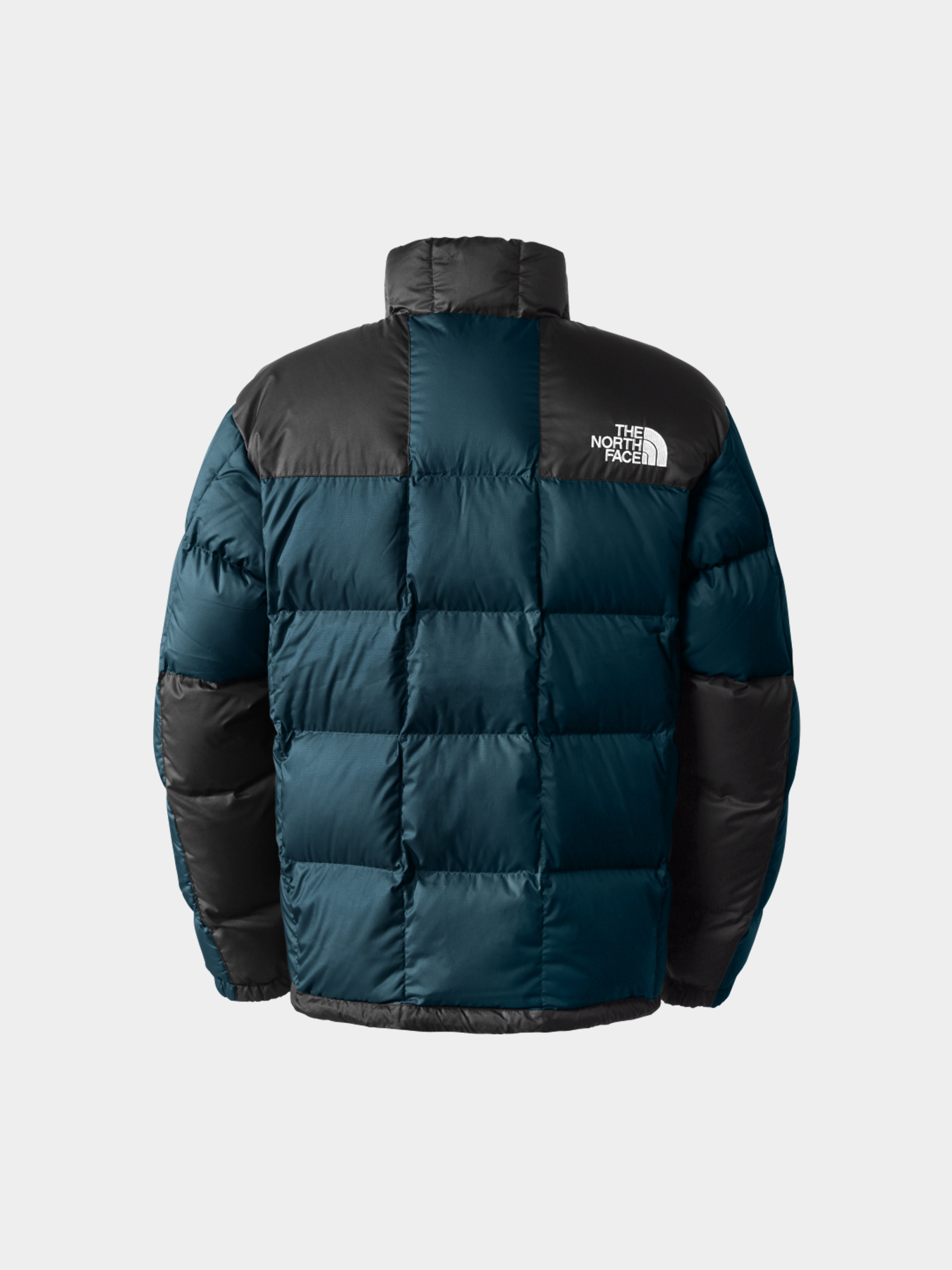 Куртки и дубленки The North Face модель NF0A3Y231NO1 Фото