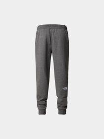 Брюки The North Face модель NF0A4SVQDYY1 Фото