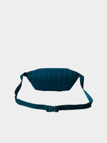 Сумки The North Face модель NF0A52VU4OJ1 Фото