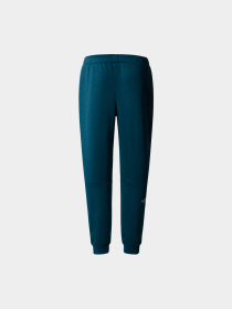 Брюки The North Face модель NF0A7Z9P2LO1 Фото