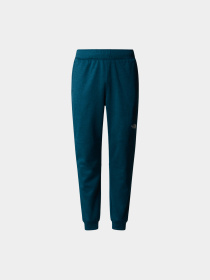 Брюки The North Face модель NF0A7Z9P2LO1 Фото