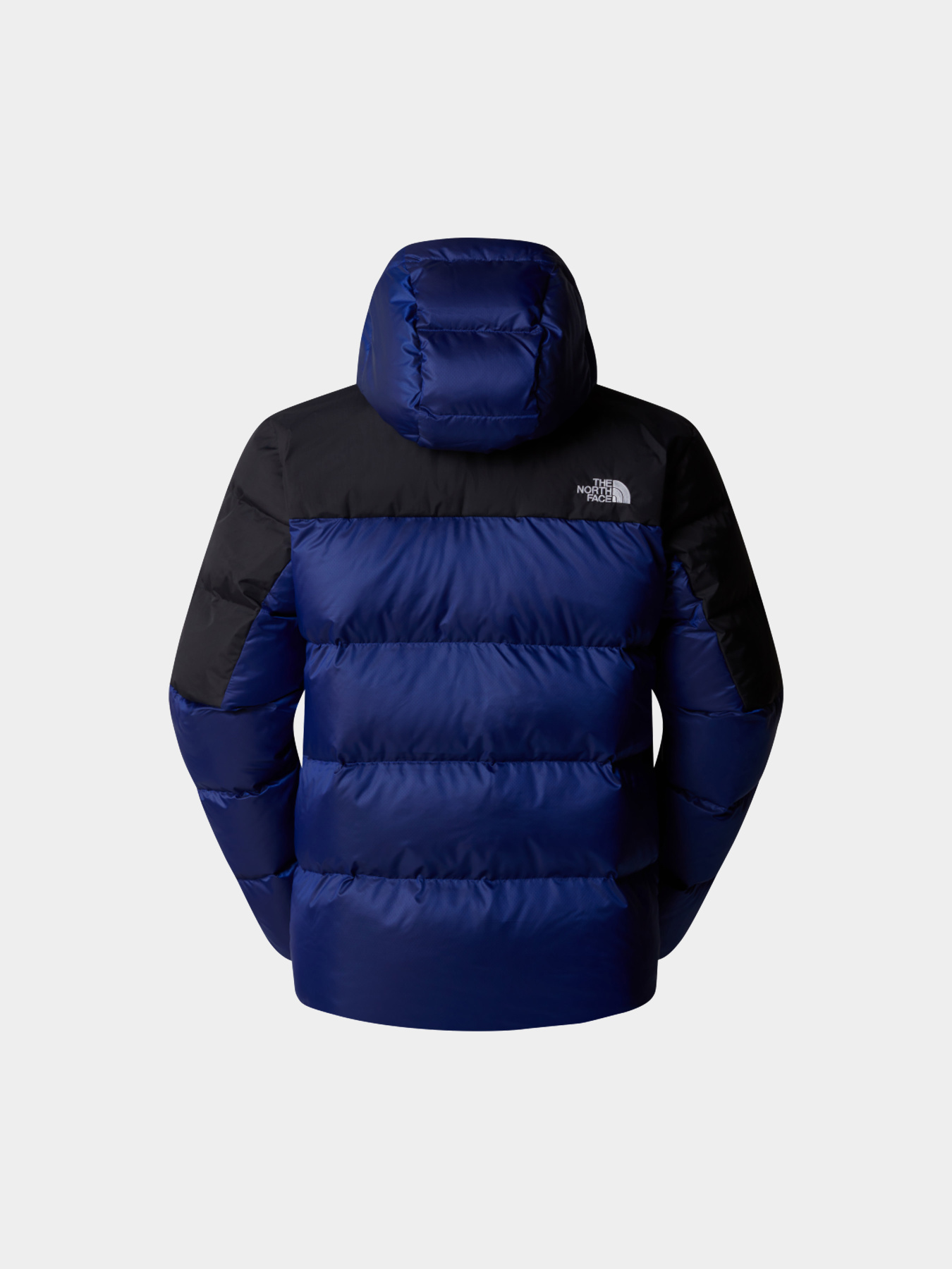 Куртки и дубленки The North Face модель NF0A89920AI1 Фото