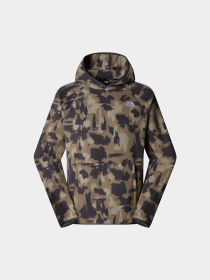 Худи и свитшоты The North Face модель NF0A893J6VO1 Фото