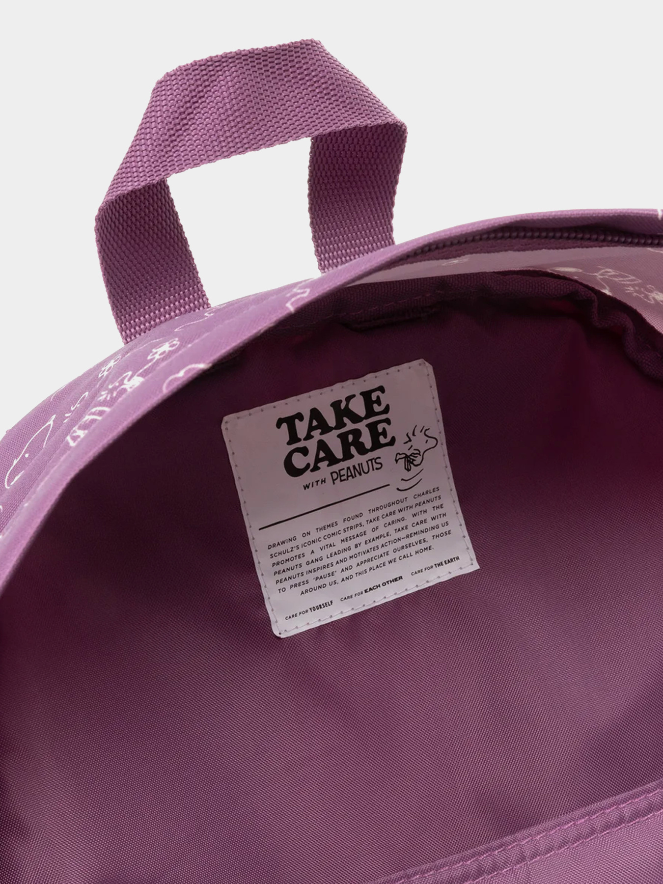 Рюкзаки EastPak модель EK0A5BG46O91 Фото