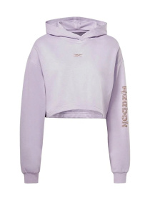 Худи и свитшоты Reebok модель HT6074 Фото