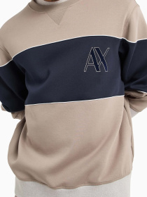 Худи и свитшоты Armani Exchange модель 6DZMJM-ZJZGZ-17AC Фото