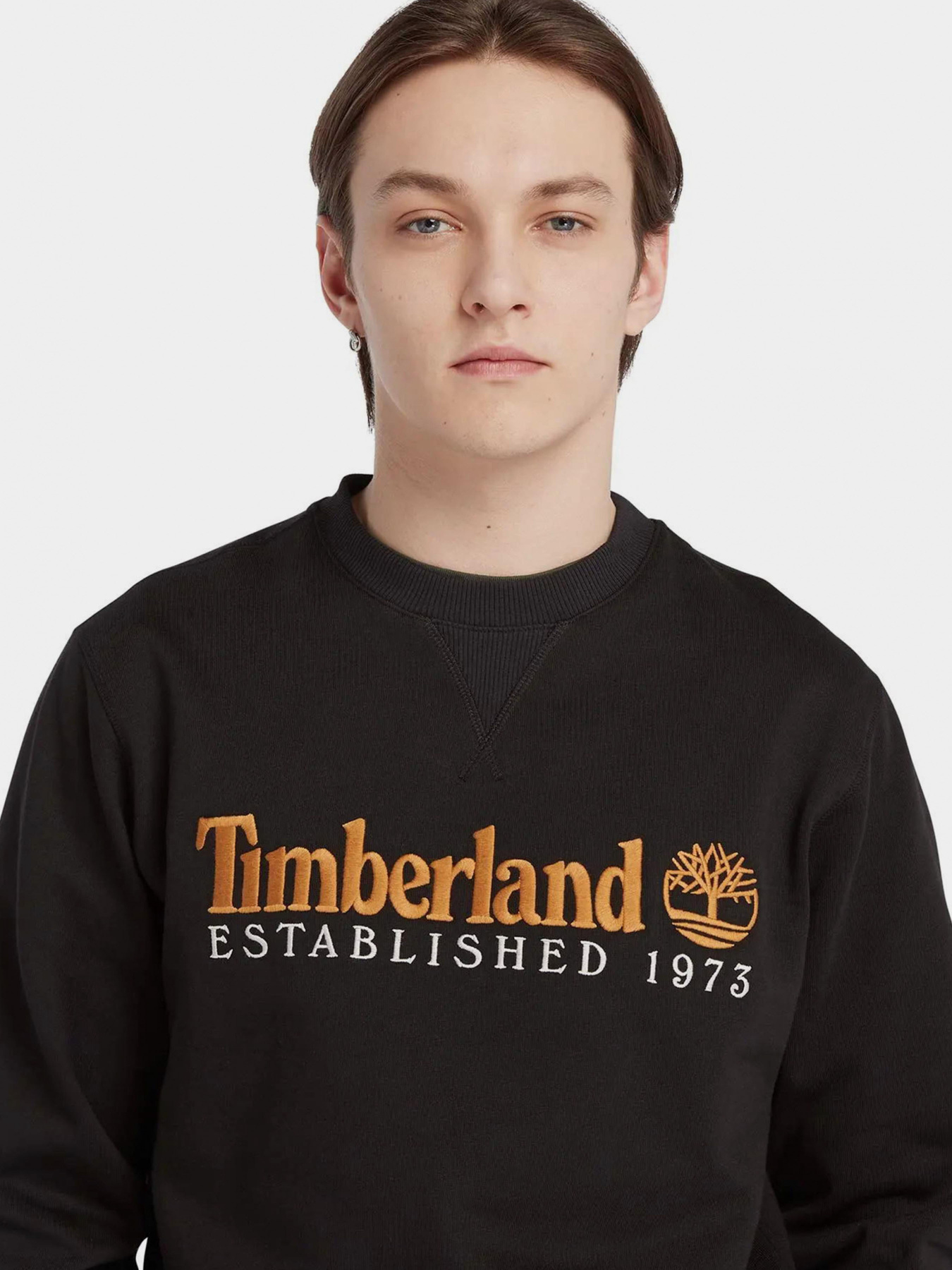 Худи и свитшоты Timberland модель TB0A65DD001 Фото