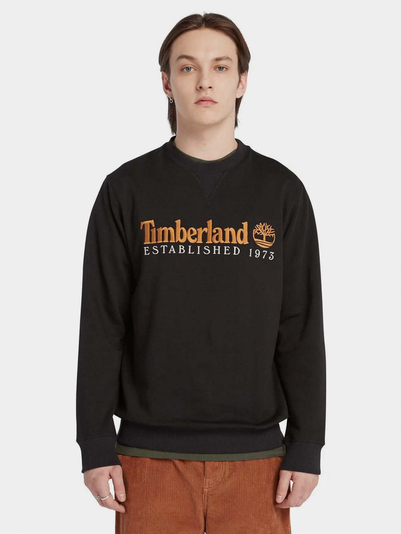 Худи и свитшоты Timberland модель TB0A65DD001 Фото