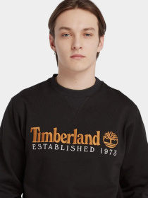 Худи и свитшоты Timberland модель TB0A65DD001 Фото
