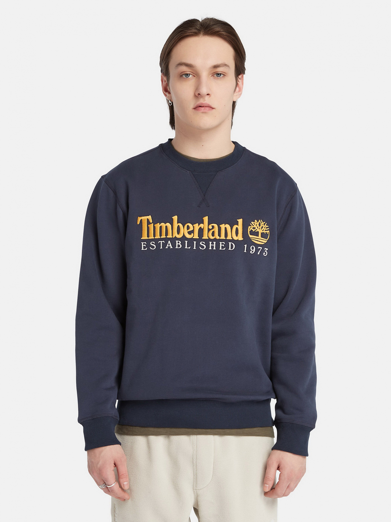 Худи и свитшоты Timberland модель TB0A65DD433 Фото