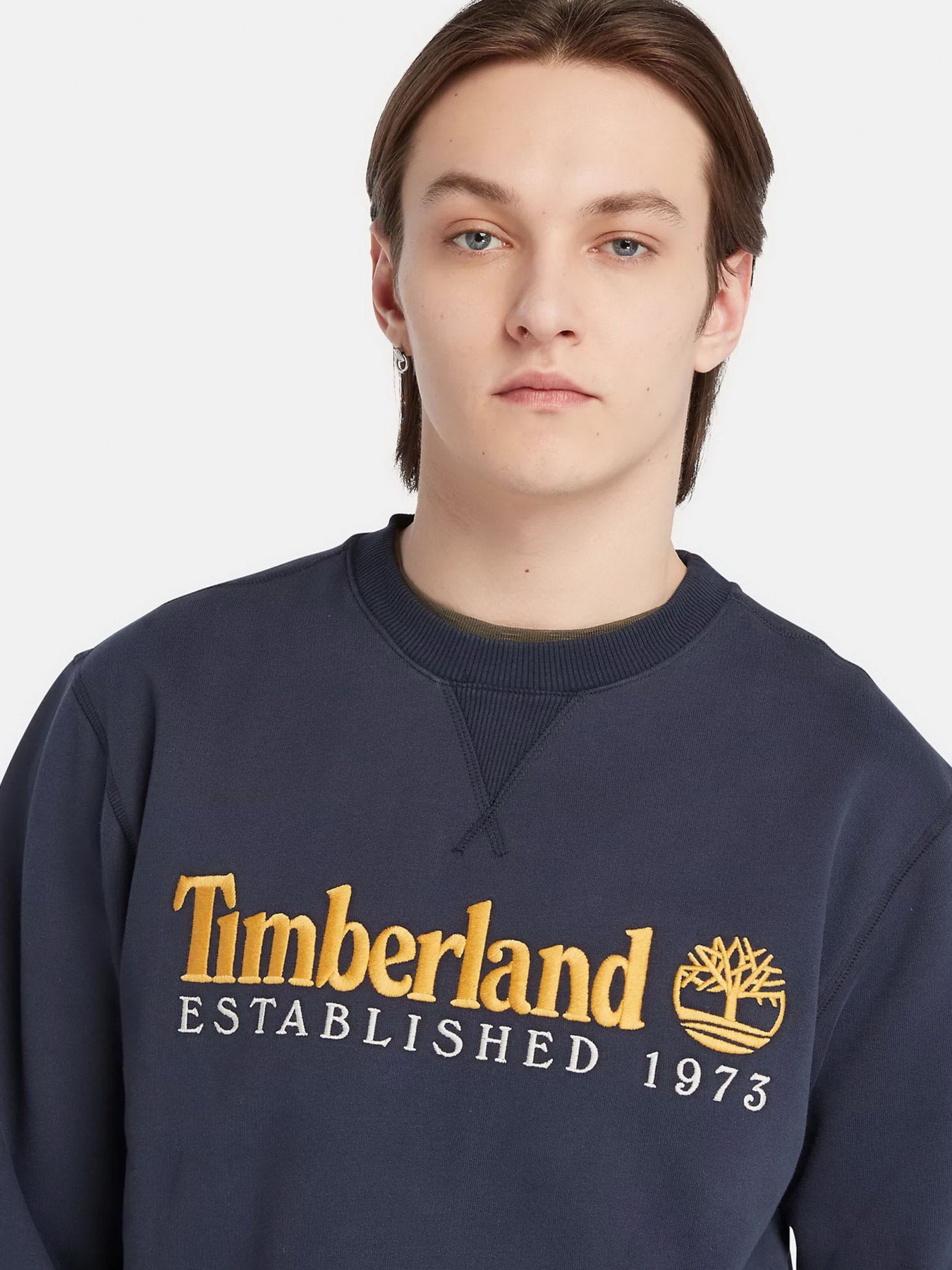 Худи и свитшоты Timberland модель TB0A65DD433 Фото