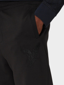 Брюки Armani Exchange модель 6DZPAB-ZJKBZ-1200 Фото