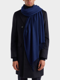 Шарфы и платки Emporio Armani модель 625214-CC318-00035 Фото