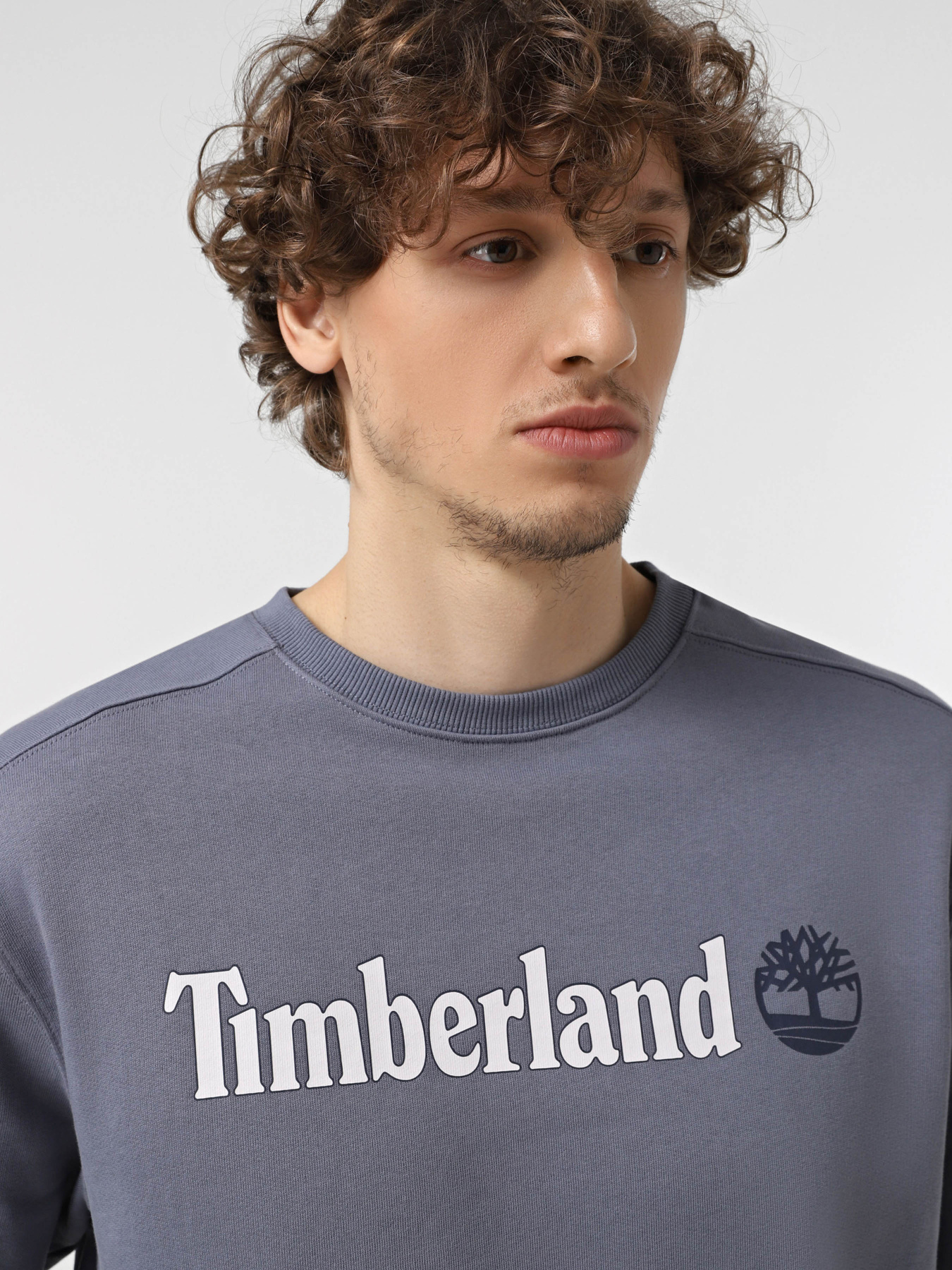 Худи и свитшоты Timberland модель TB0A5UJY073 Фото