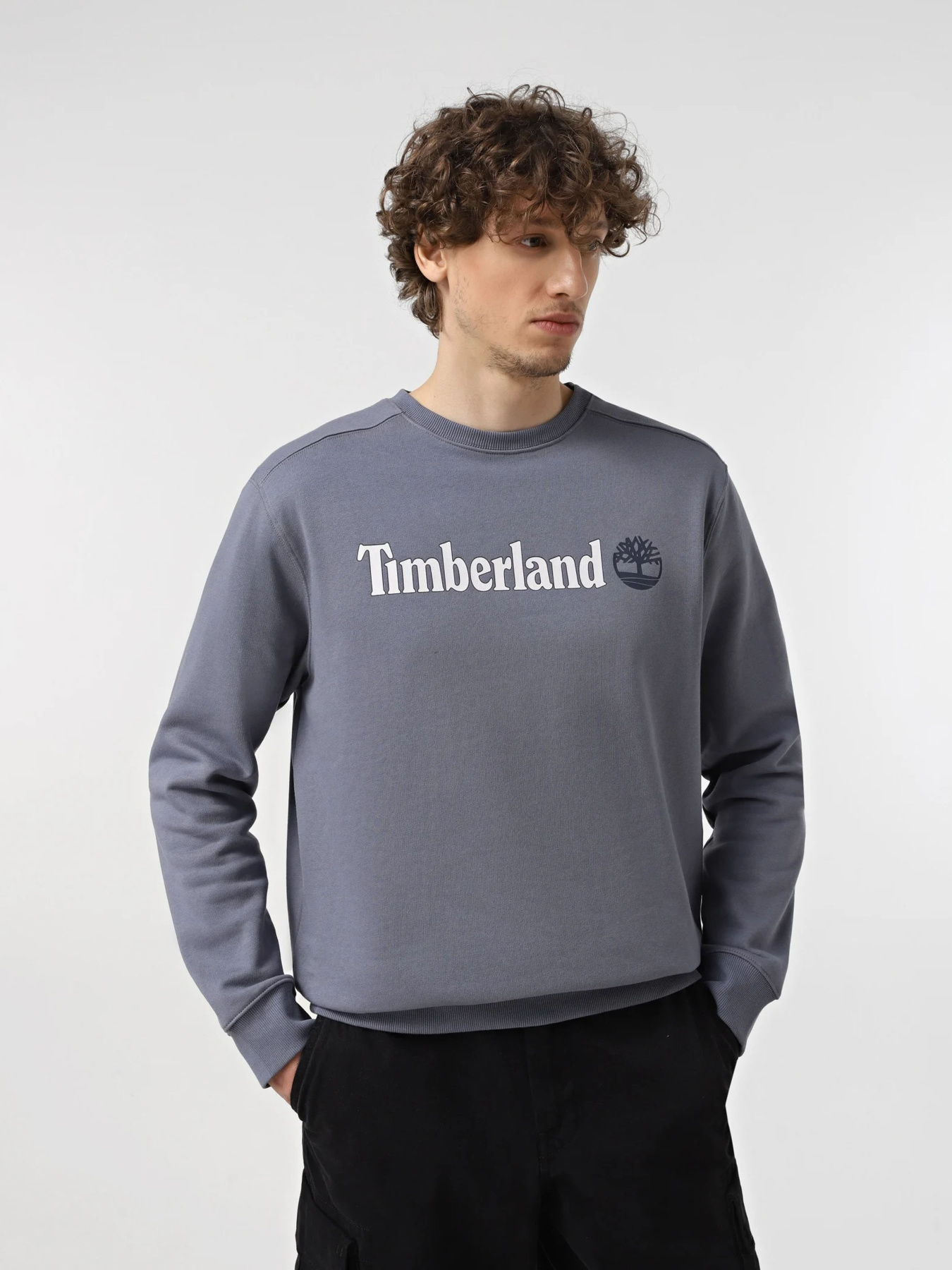 Худи и свитшоты Timberland модель TB0A5UJY073 Фото