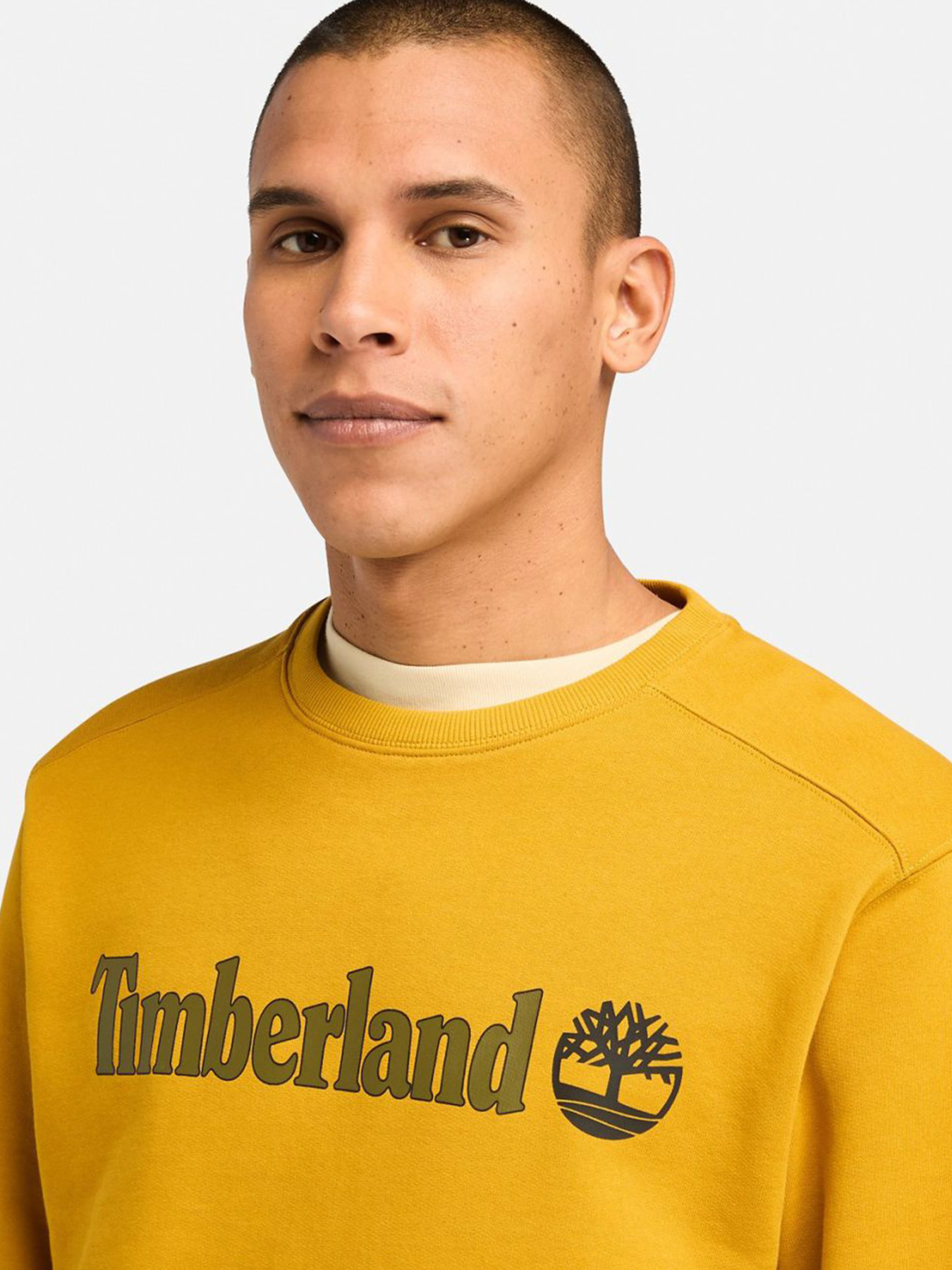 Худи и свитшоты Timberland модель TB0A5UJYEFM Фото