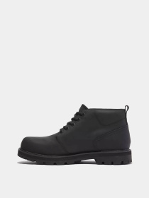 Ботинки и сапоги Timberland модель TB0A69TWW02 Фото