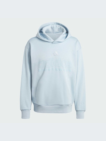 Худи и свитшоты Adidas модель IY6596-KZ Фото