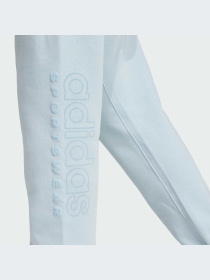 Брюки Adidas модель IY6604-KZ Фото