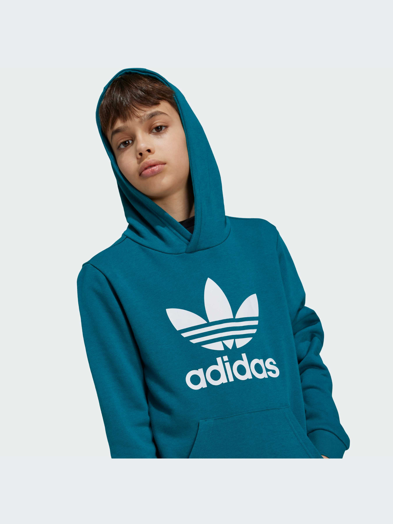Худи и свитшоты Adidas Adicolor модель IY7440-KZ Фото