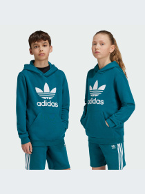 Худи и свитшоты Adidas Adicolor модель IY7440-KZ Фото