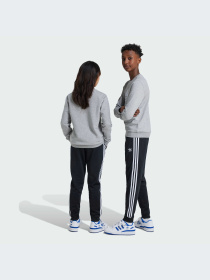 Брюки Adidas Adicolor модель IX7630-KZ Фото