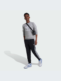 Брюки Adidas Adicolor модель IX7630-KZ Фото