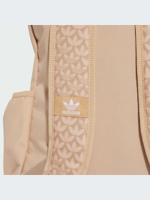 Рюкзаки Adidas Graphics модель IX7463-KZ Фото