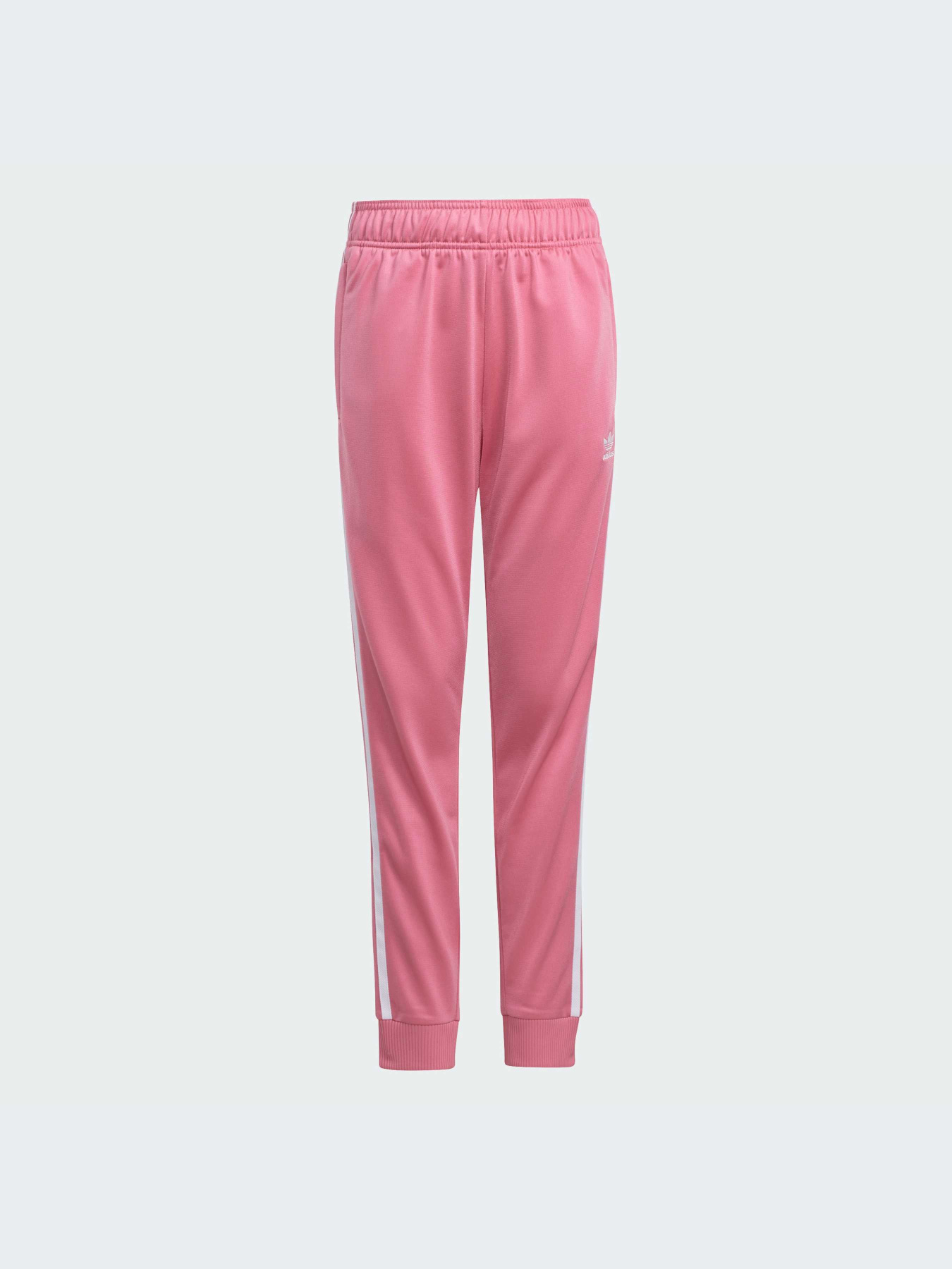 Брюки Adidas Adicolor модель IY7462-KZ Фото
