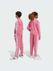 Брюки Adidas Adicolor модель IY7462-KZ Фото
