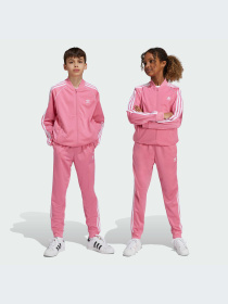 Брюки Adidas Adicolor модель IY7462-KZ Фото