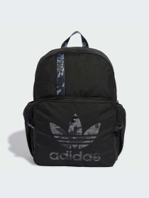 Рюкзаки Adidas Graphics модель IX6824-KZ Фото