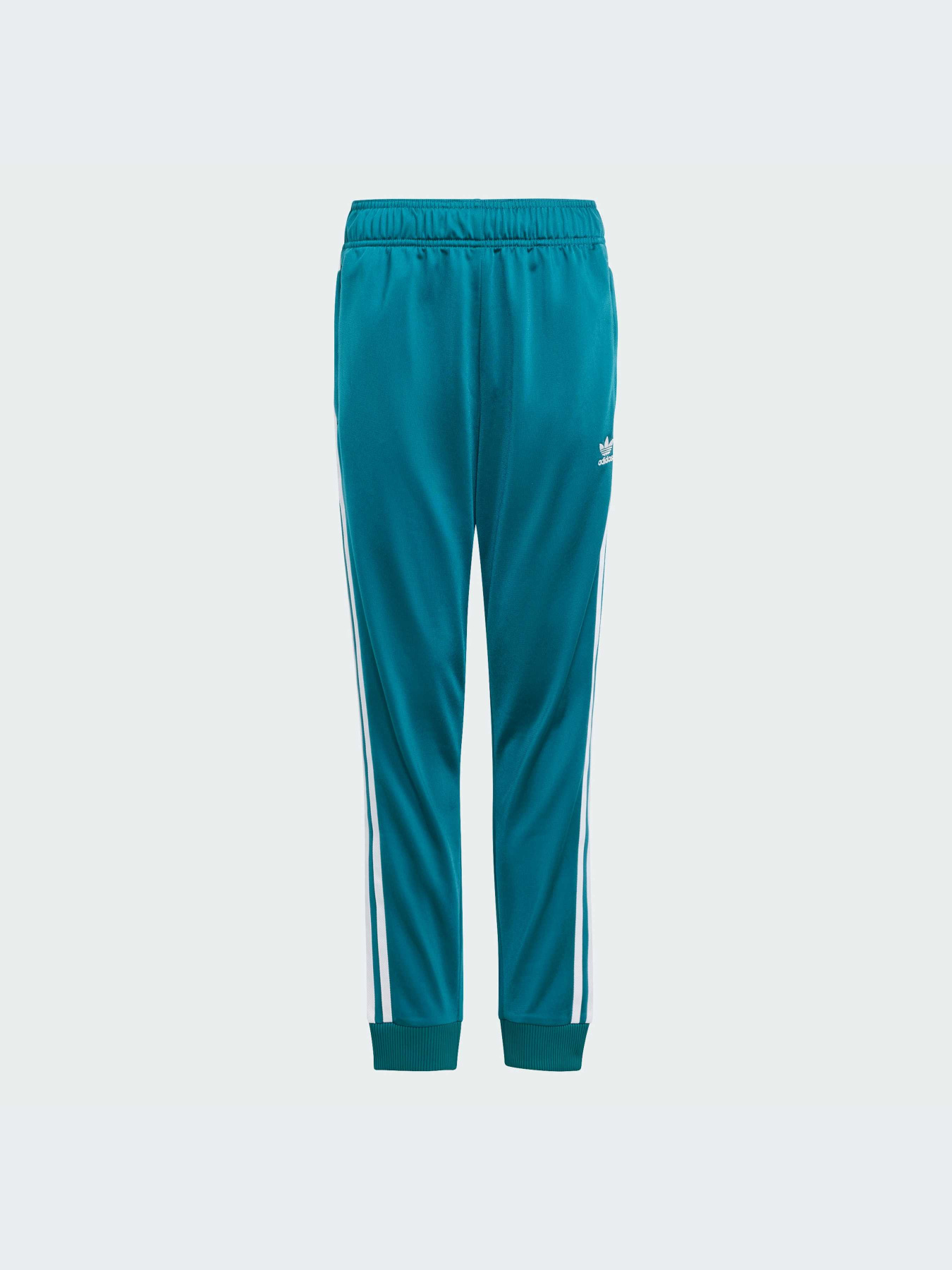 Брюки Adidas Adicolor модель IY7463-KZ Фото