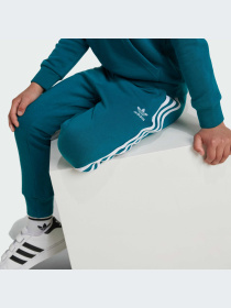 Костюмы Adidas Adicolor модель IY4789-KZ Фото