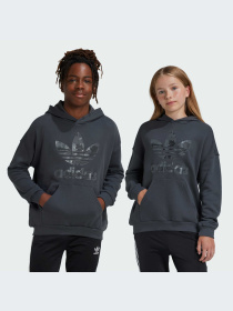 Худи и свитшоты Adidas модель IY1755-KZ Фото
