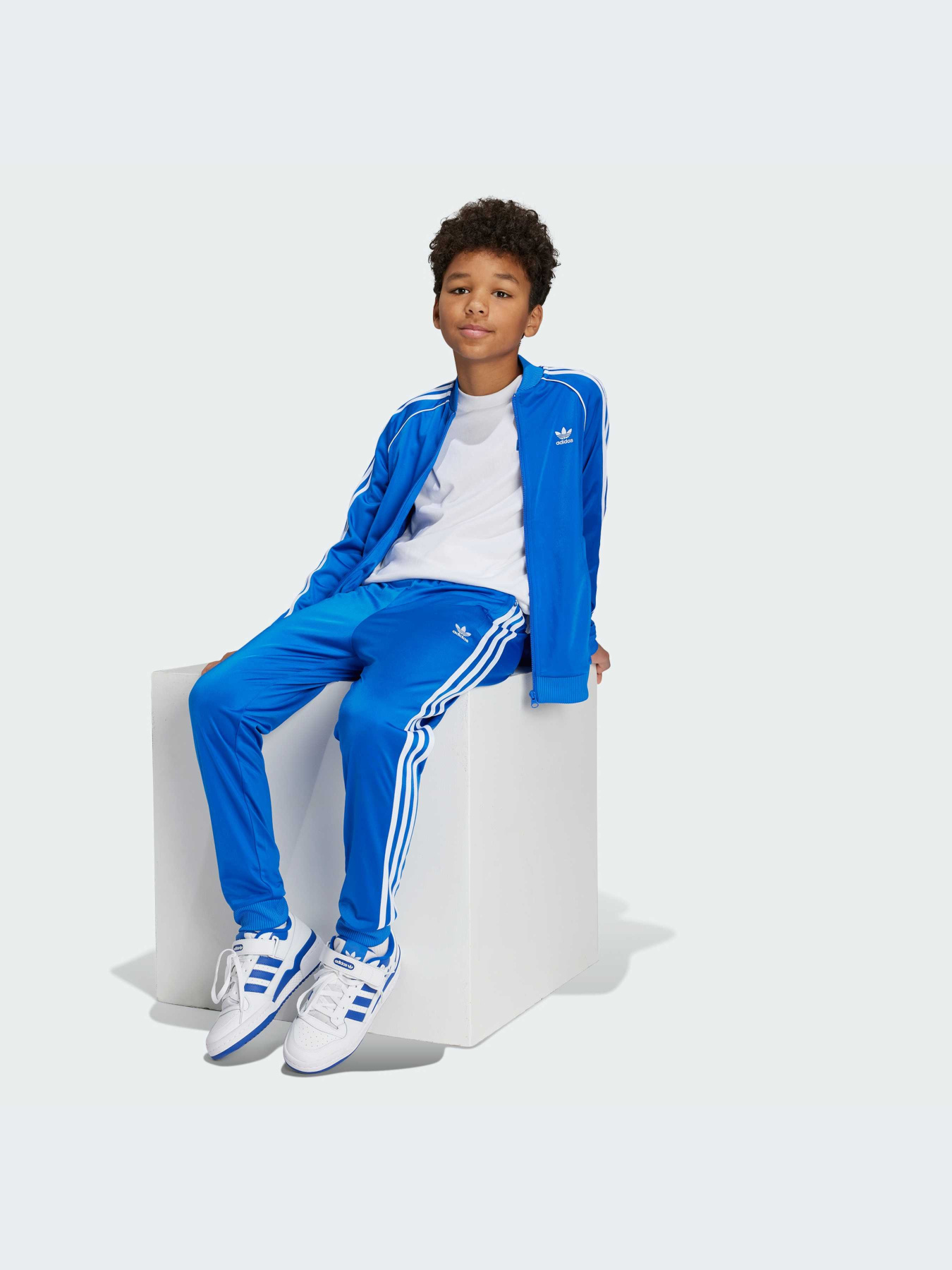 Брюки Adidas Adicolor модель IY4007-KZ Брюки Adidas Adicolor модель IY4007-KZ Фото