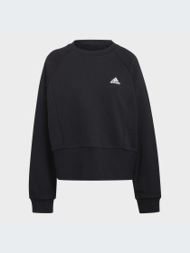 Худи и свитшоты Adidas модель HA6622-KZ Фото