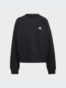 Худи и свитшоты Adidas модель HA6622-KZ Фото