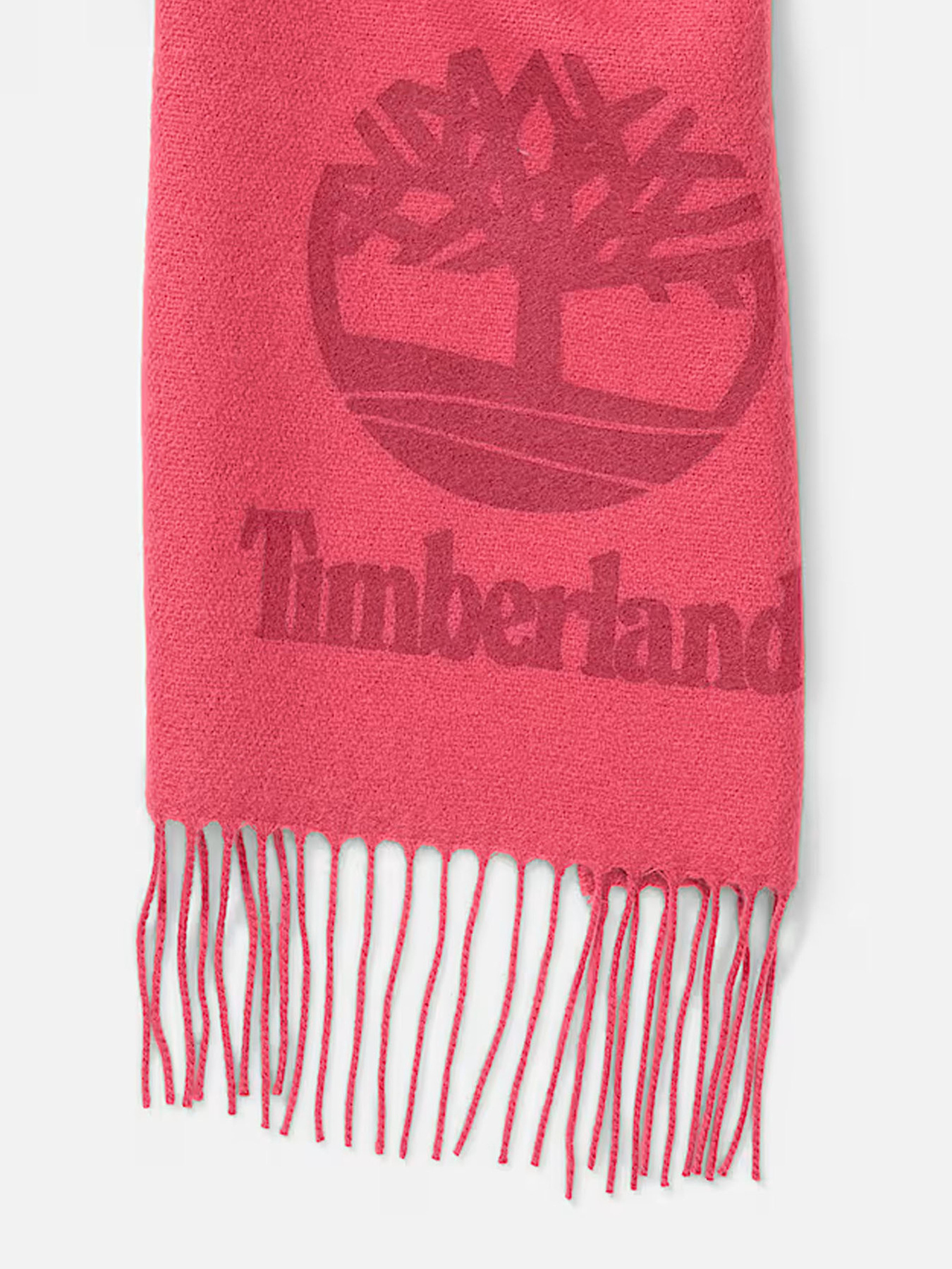 Шарфы и платки Timberland модель TB0A616XEFR Фото
