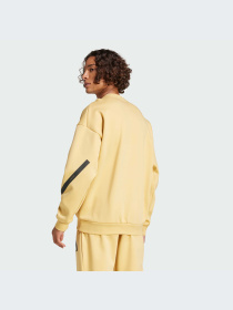 Худи и свитшоты Adidas ZNE модель JJ4896-KZ Фото