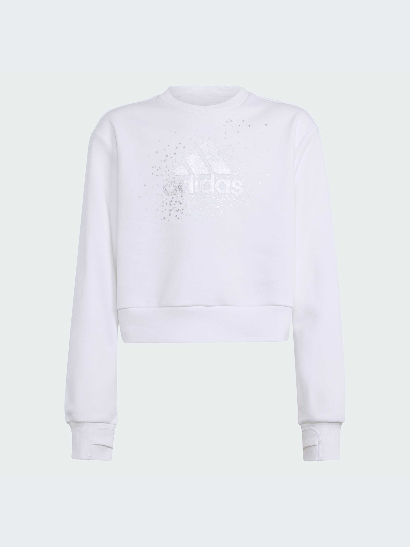 Худи и свитшоты Adidas модель IX9330-KZ Фото