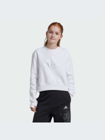 Худи и свитшоты Adidas модель IX9330-KZ Фото