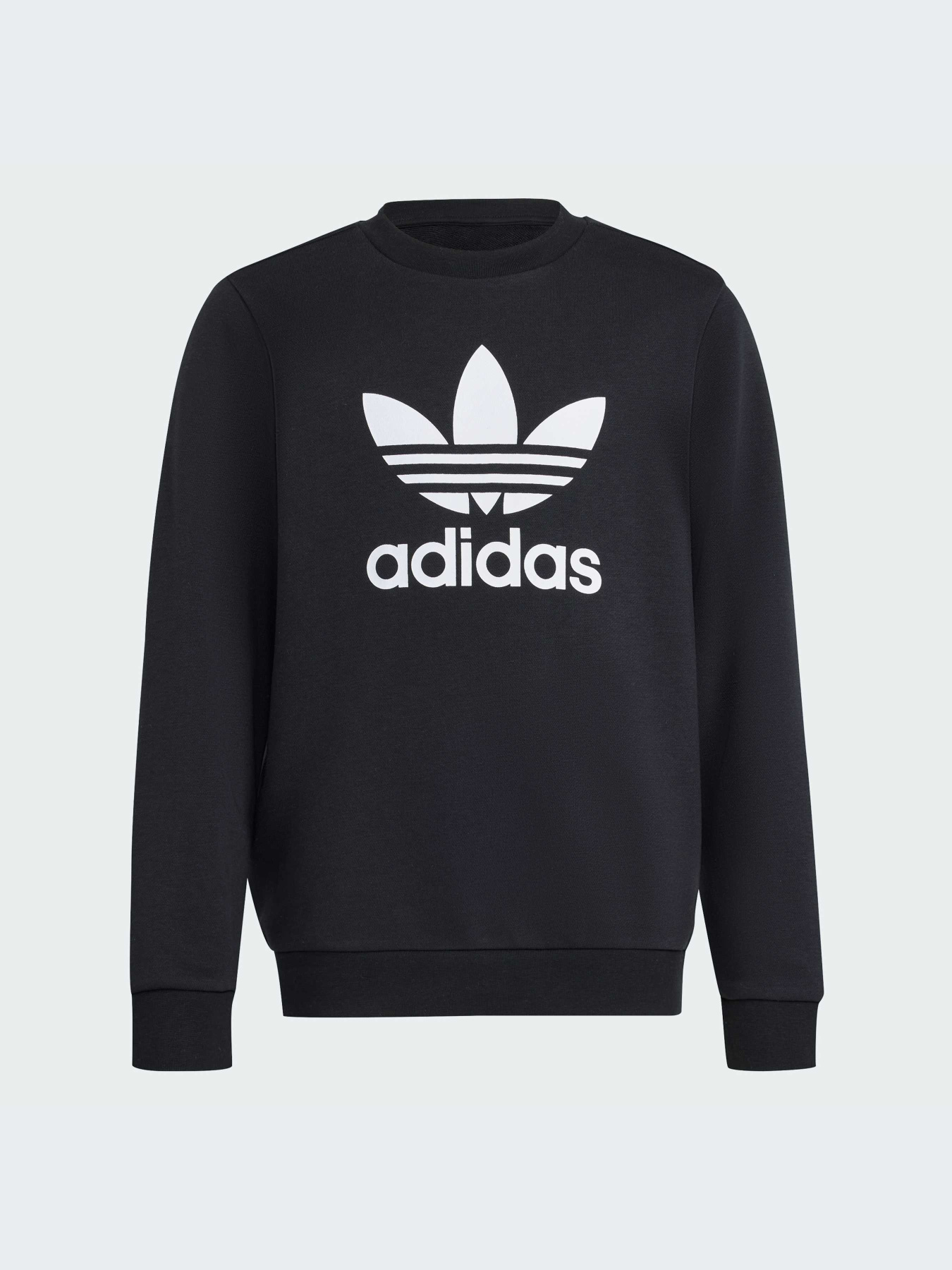 Худи и свитшоты Adidas модель IY7435-KZ Фото