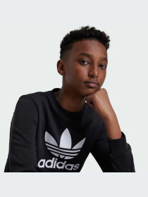 Худи и свитшоты Adidas модель IY7435-KZ Фото