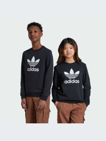 Худи и свитшоты Adidas модель IY7435-KZ Фото