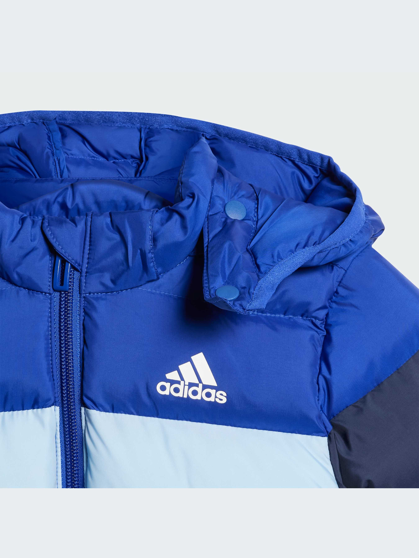 Куртки и дубленки Adidas модель IV9507-KZ Фото