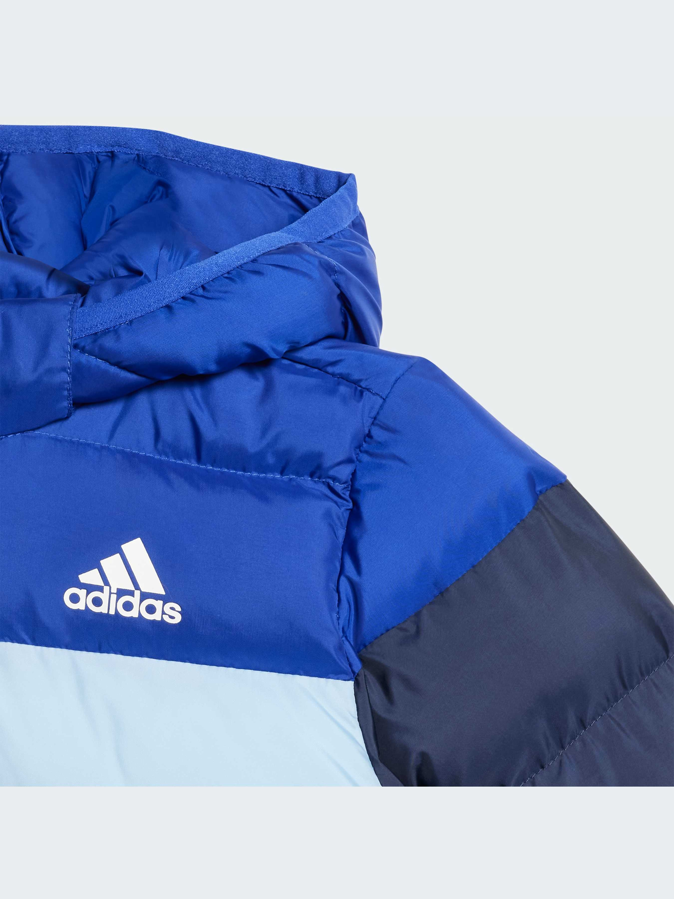 Куртки и дубленки Adidas модель IV9507-KZ Фото